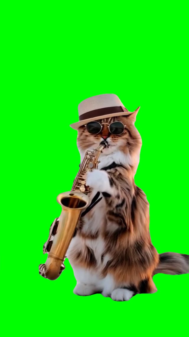 cat playing sax green screen