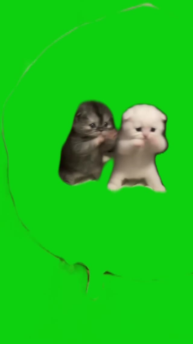 Scuba kittens green screen