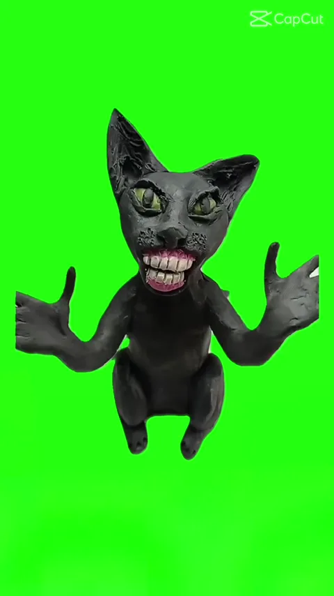 TikTok cat clapping weird version green screen