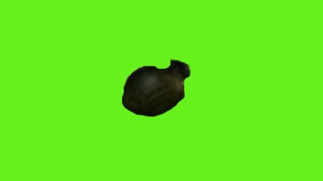 oo ee a e a Cat green screen